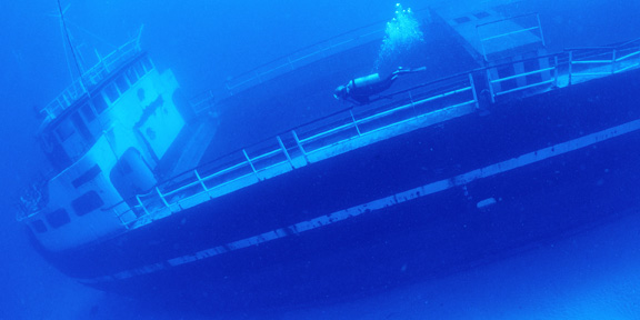 Dive With South Florida Diving Headquarters